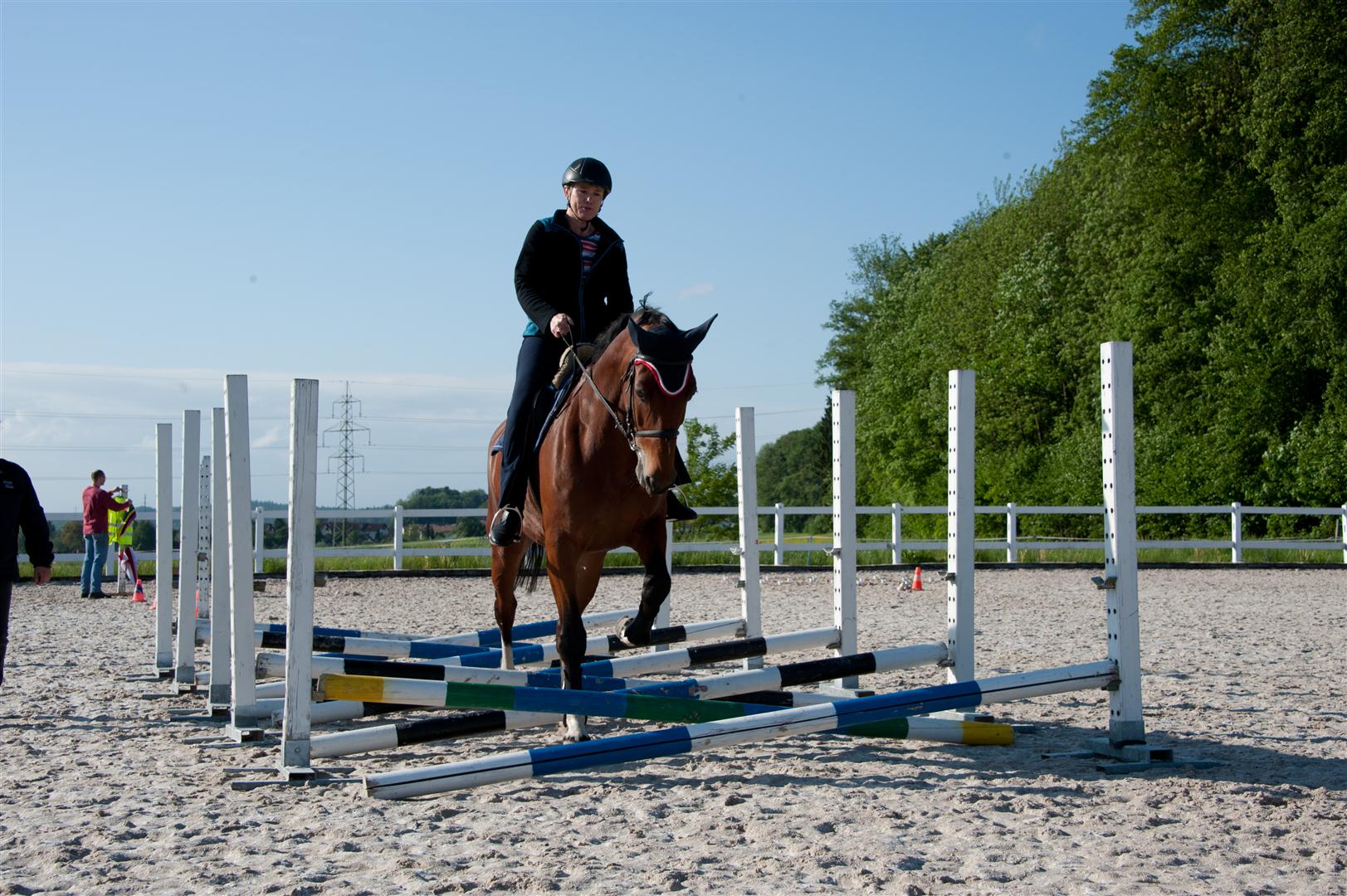 DSC_8176 (Large).jpg